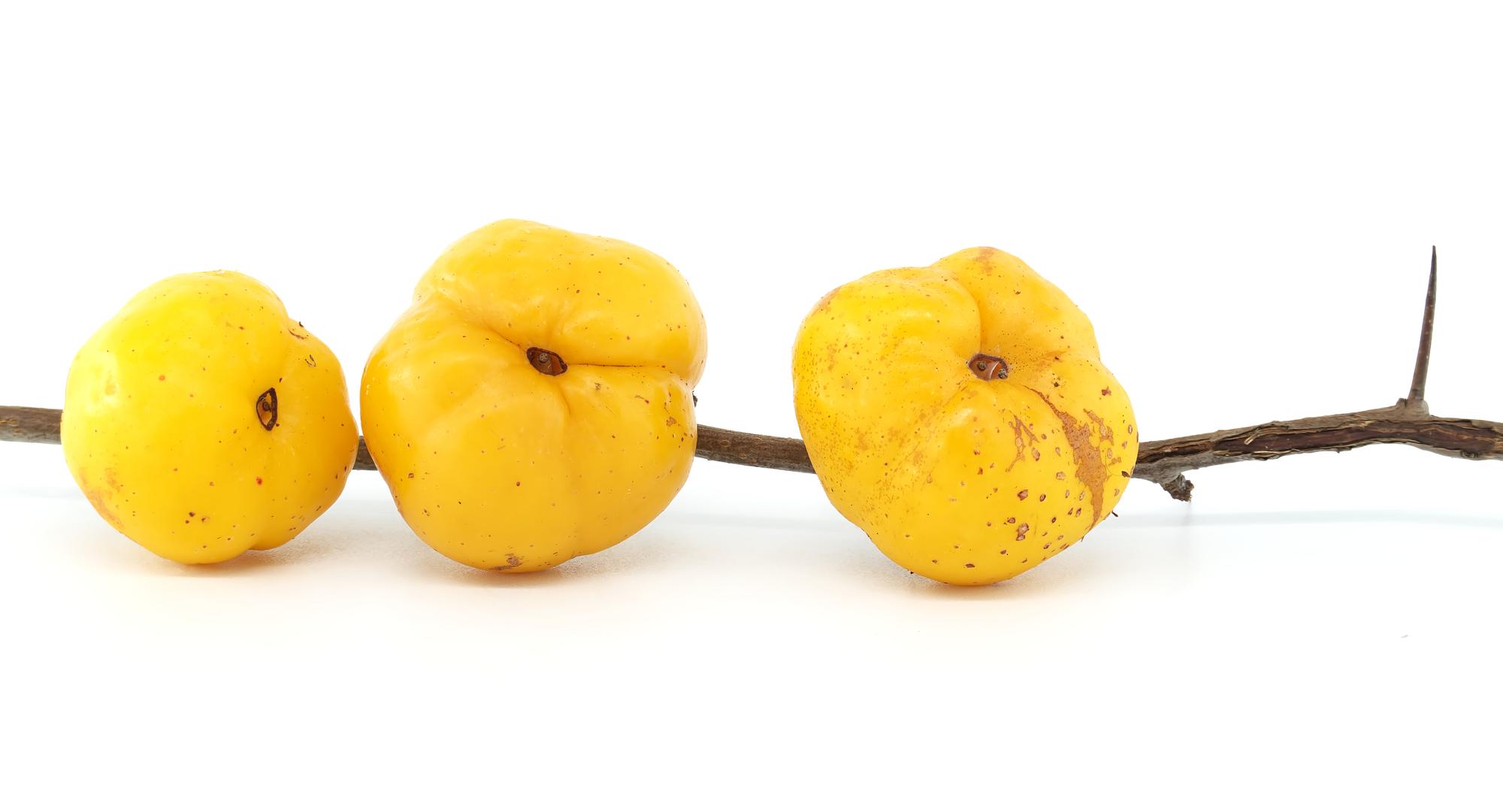 Le fruit du cognassier du Japon, c’est quoi exactement ?