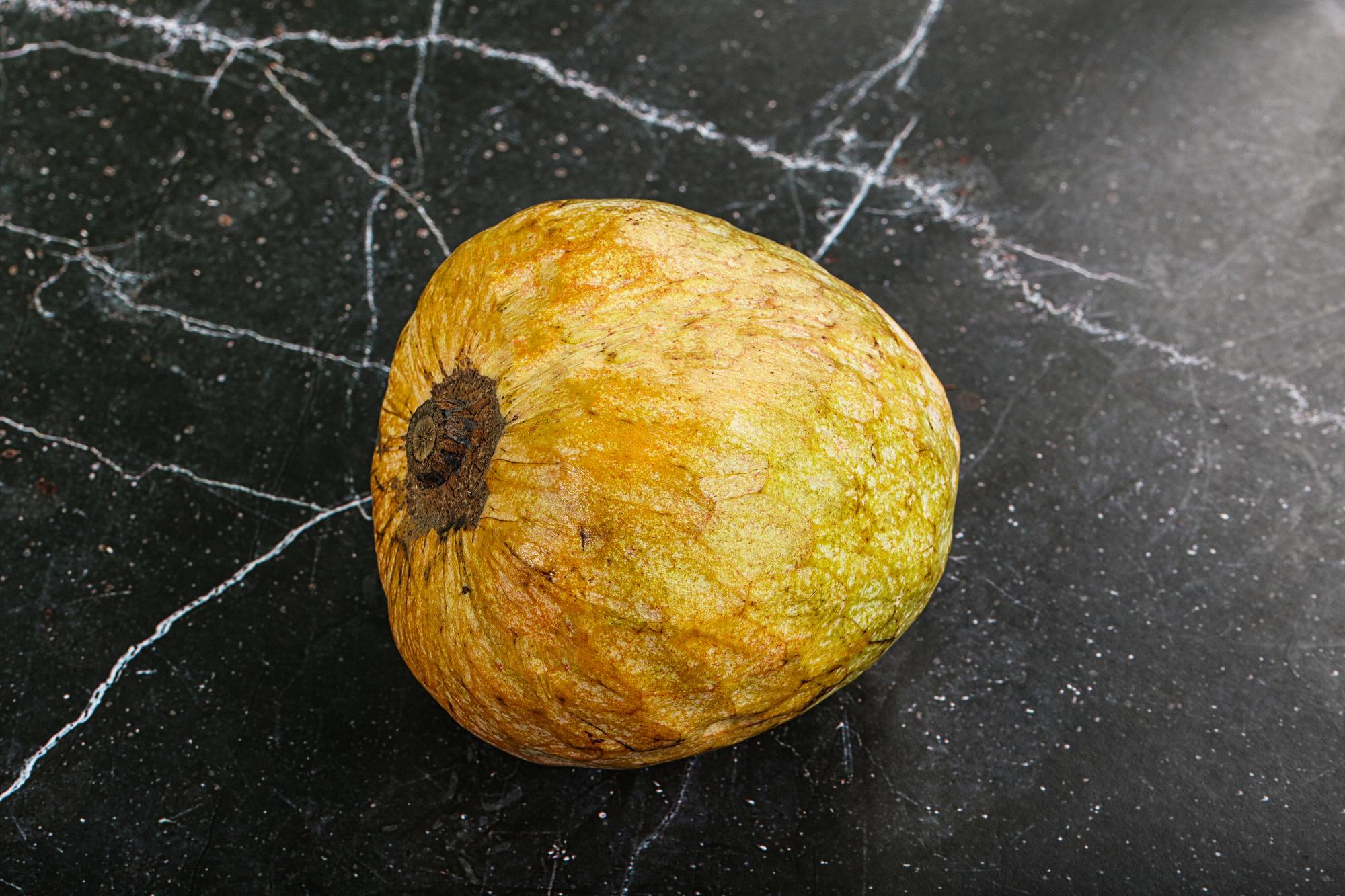 Maladies et vers dans les fruits du cognassier du Japon