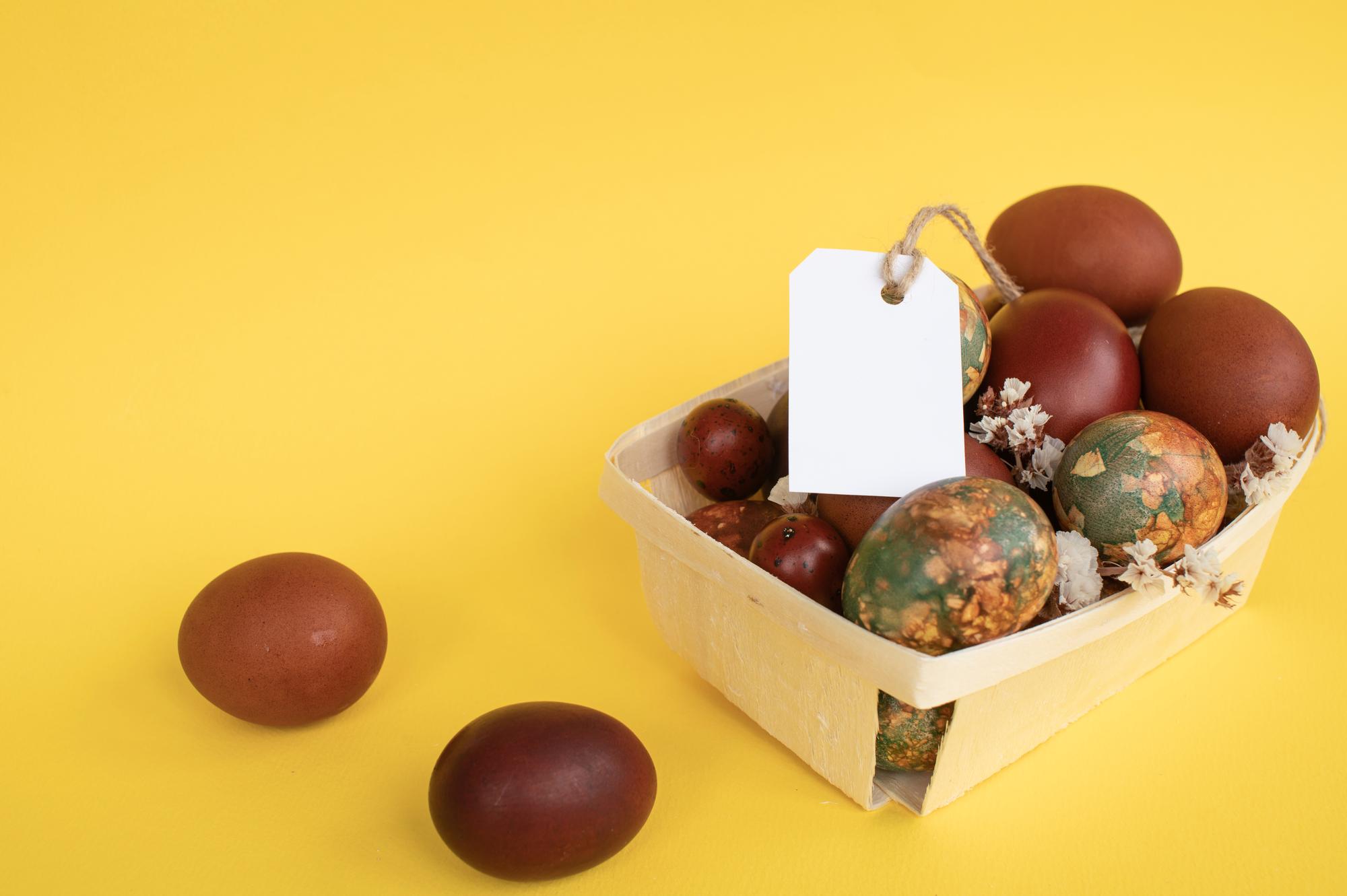 Comprendre les dates sur la coquille : DCP, DLUO et ponte
