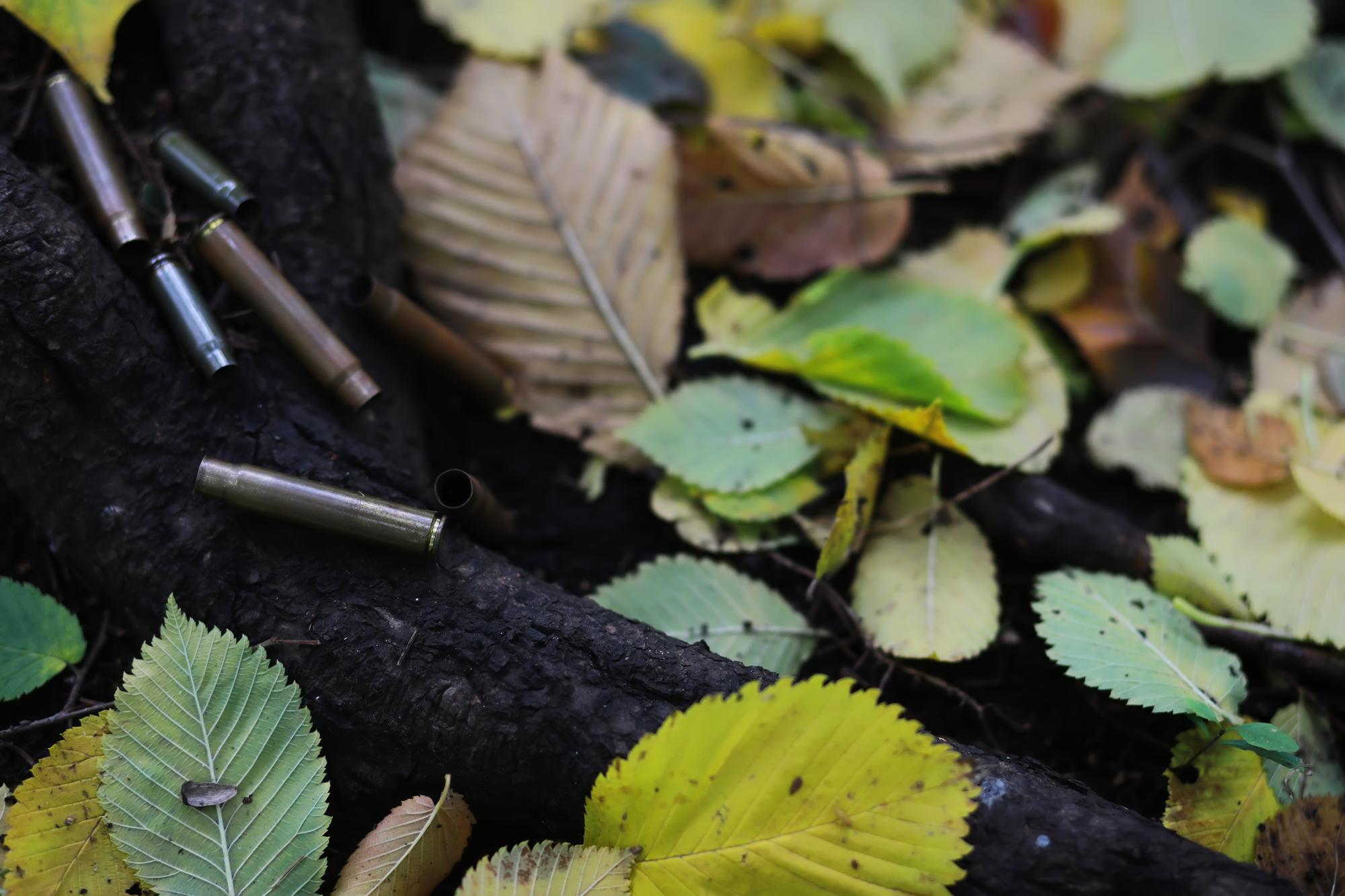 Que dit la recherche sur le cuivre au jardin ?