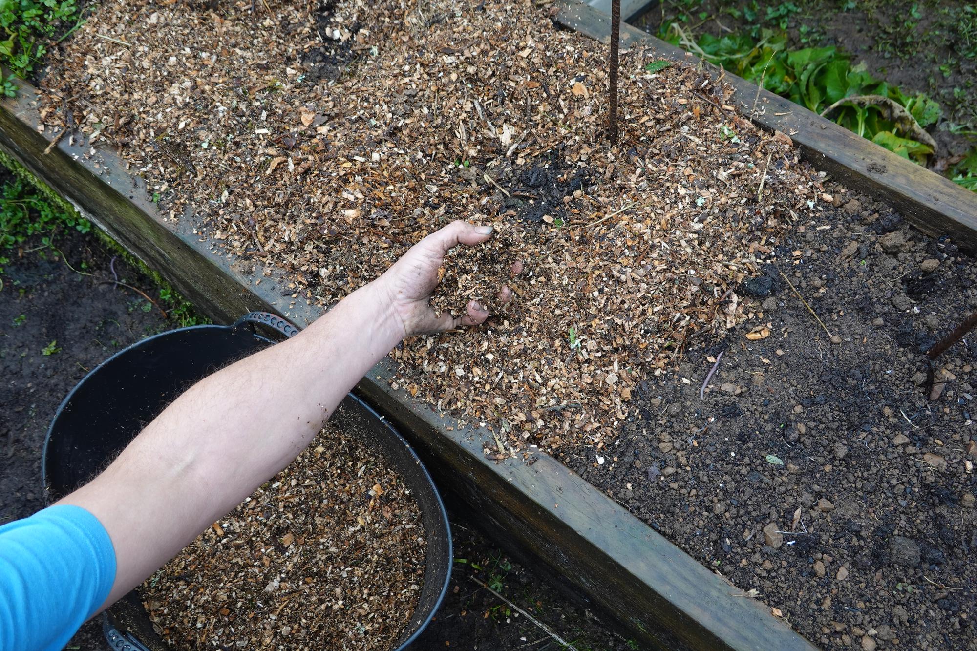 Pourquoi miser sur du paillage gratuit au jardin ?