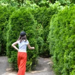 haie thuya taille printemps jardin