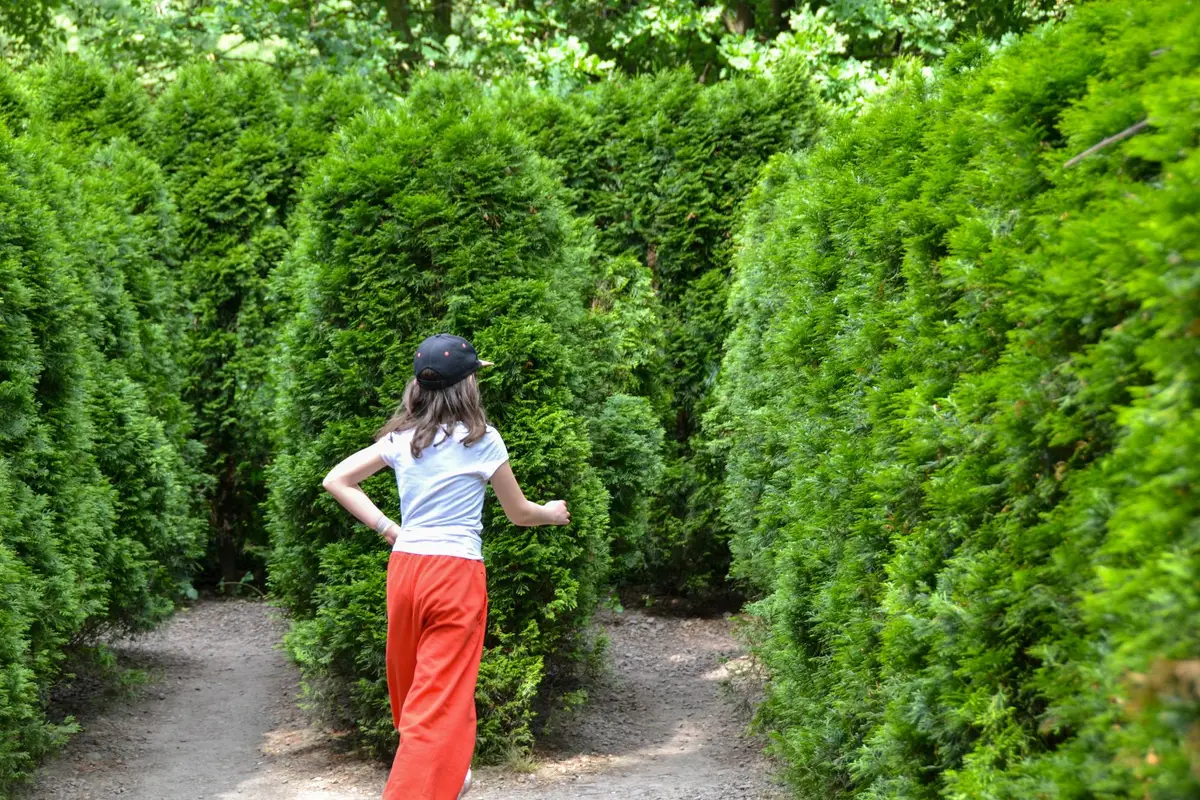 haie thuya taille printemps jardin