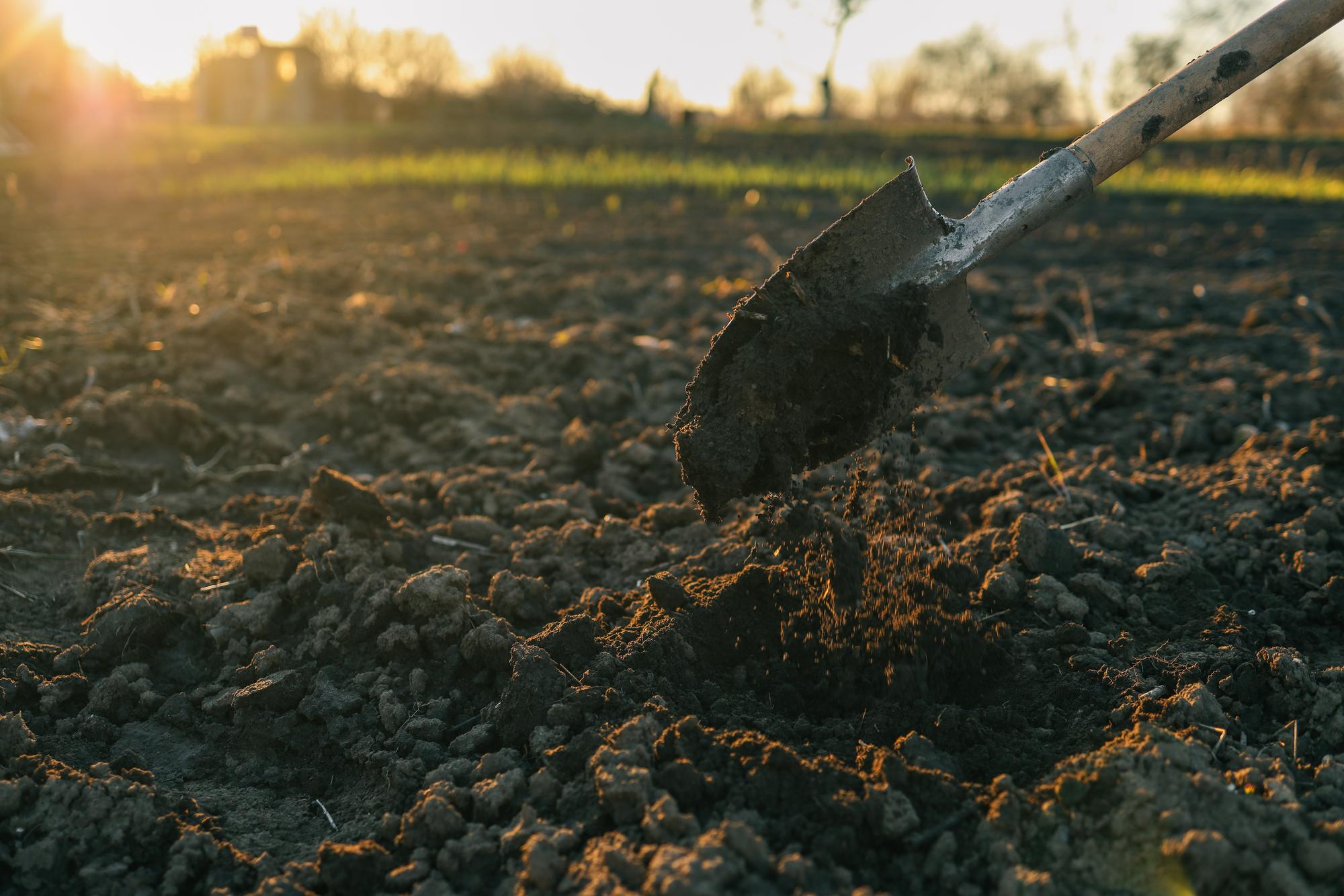 Planter tes achats pour réussir à coup sûr