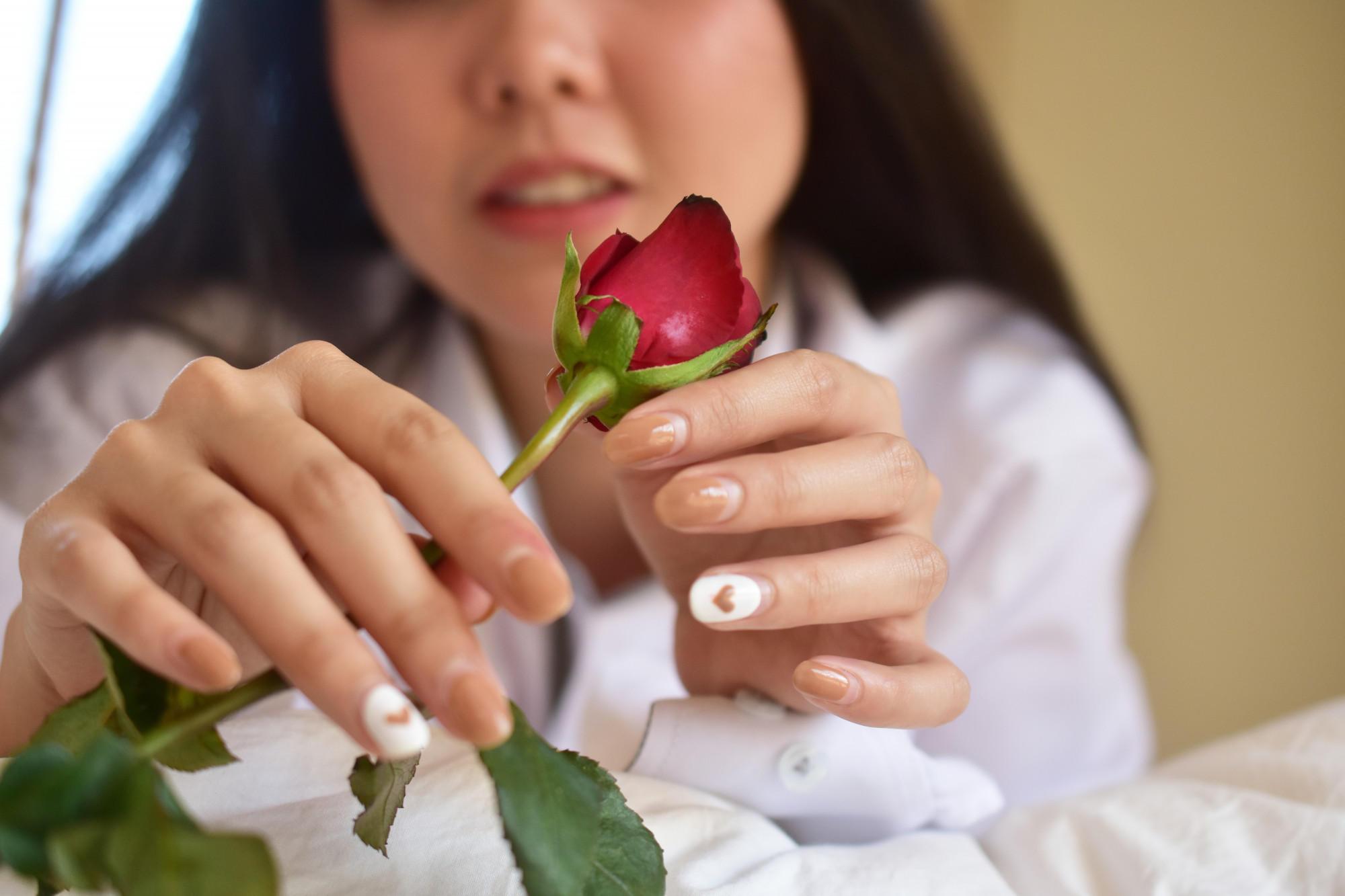 Les 5 maladies du rosier à identifier par photo