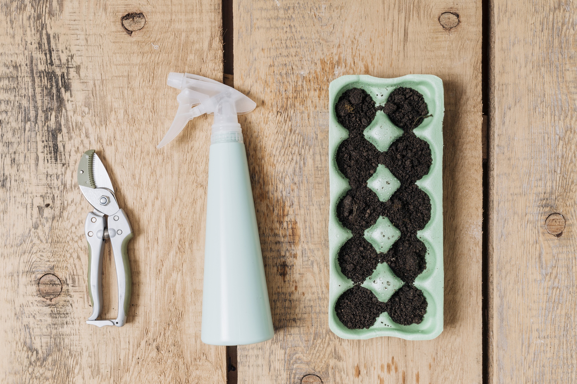 Comment fonctionne un anti-pucerons au savon noir ?