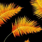 cycas feuilles jaunes
