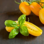 feuilles tomates jaunes