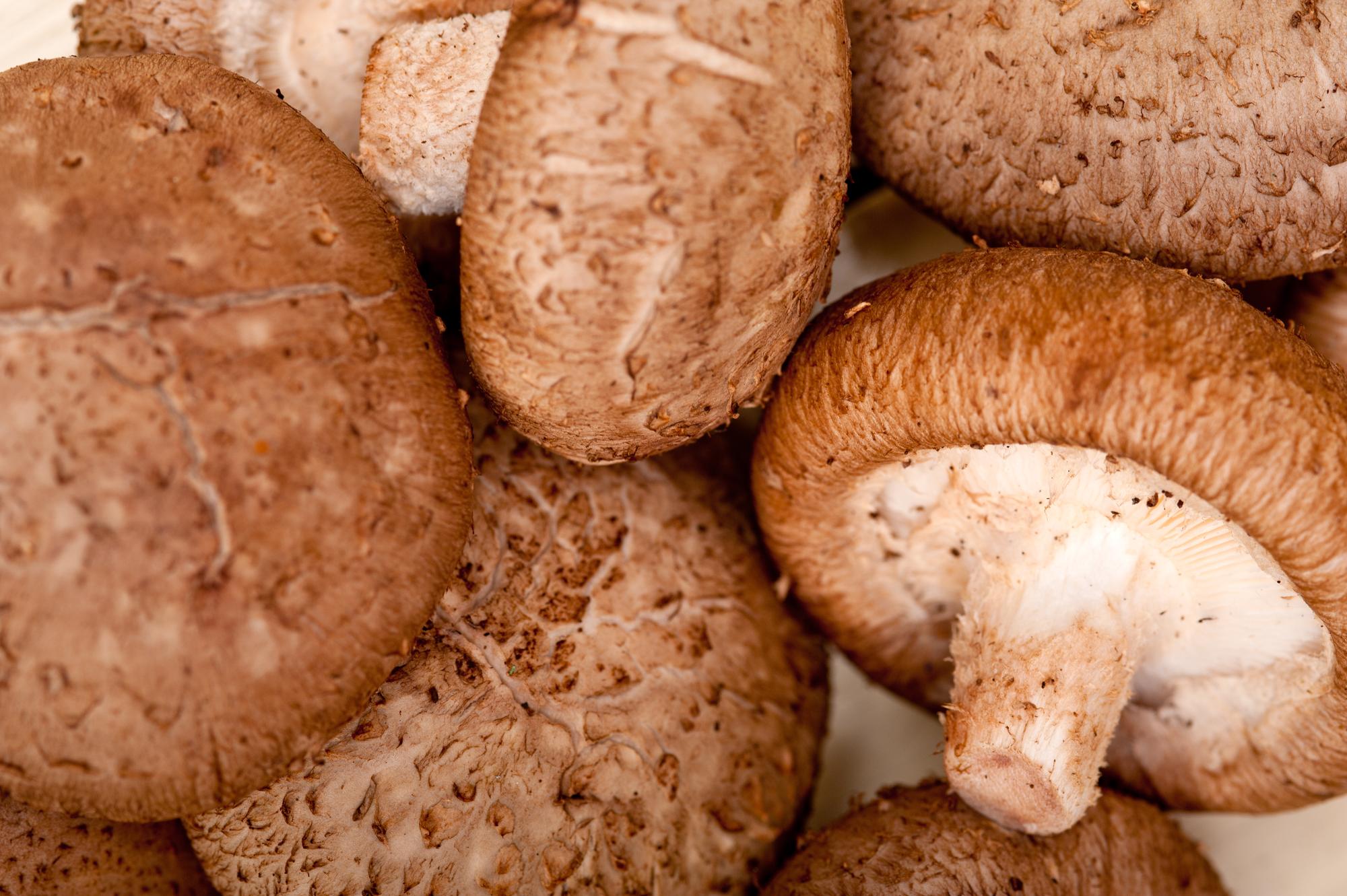Qu’appelle-t-on exactement « champignons des peupliers » ?