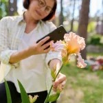 smartphone fleurs jardin