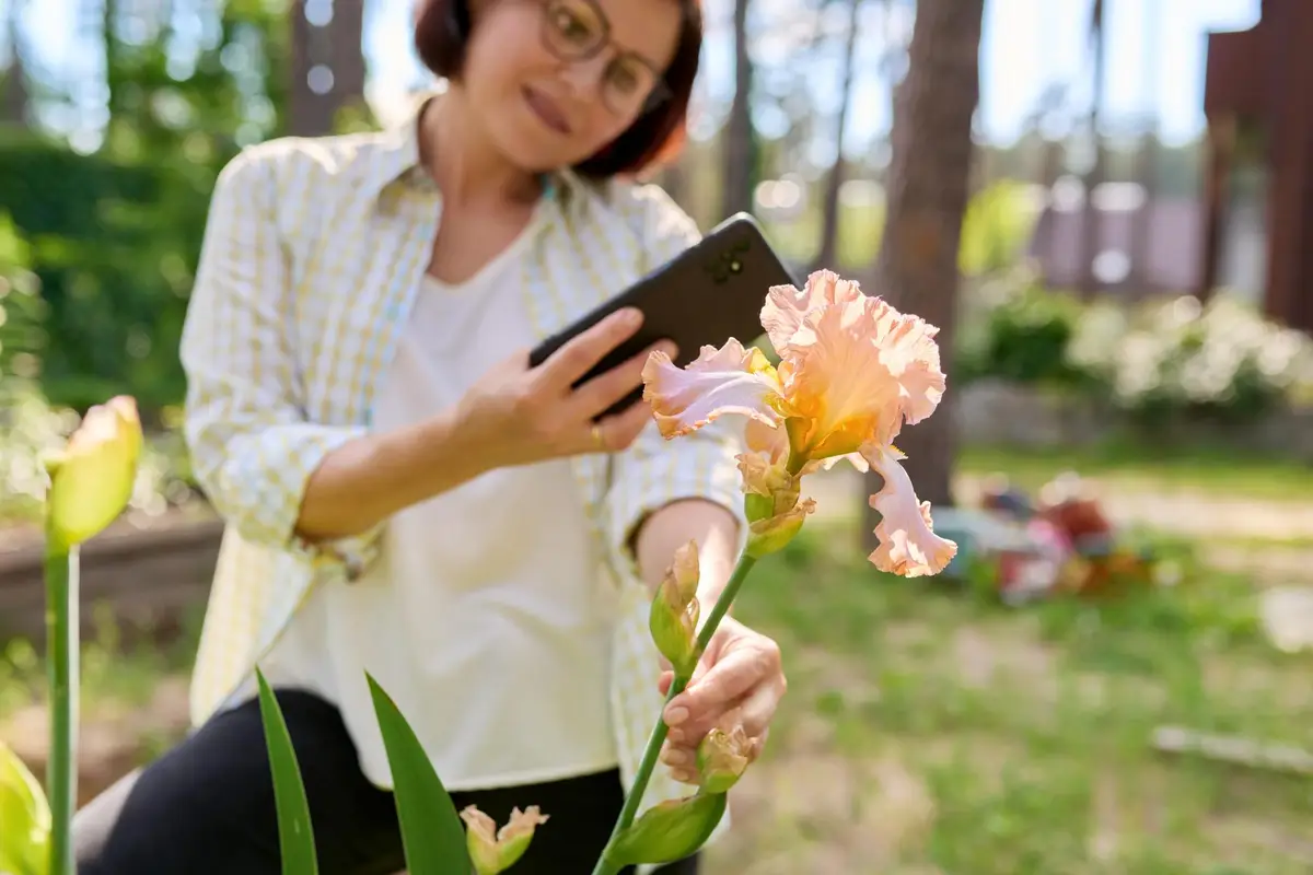 smartphone fleurs jardin