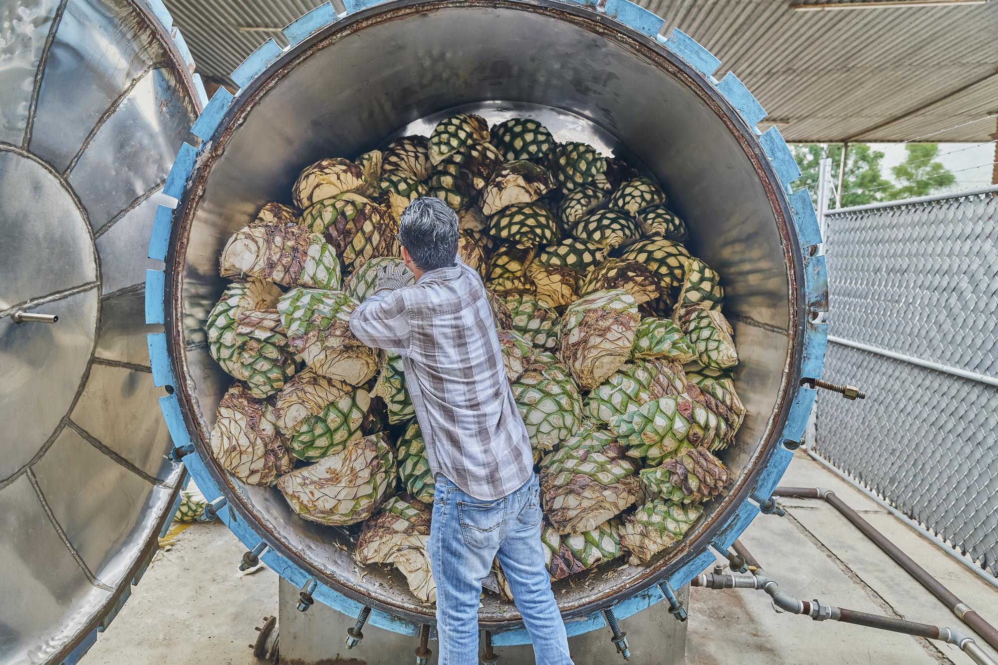 Agaves, tequila et mezcal : d’où viennent ces boissons ?